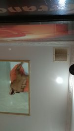 IMG-20180827-WA0003.jpg