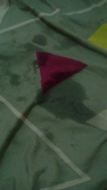 Sabanas mojadas.jpeg