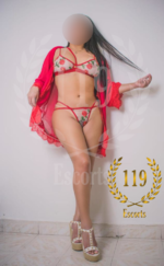 LINA_2.png