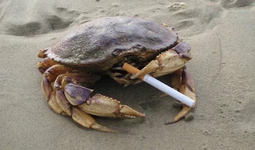 1661736640338.png 1661736640338.png