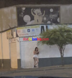 IMG-7428.jpg