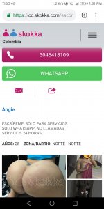 Screenshot_20181219-133124.jpg