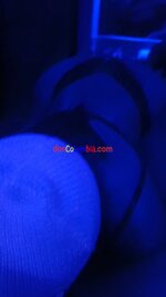 IMG_20221217_22513218.jpg