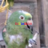 28578.png
