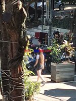 IMG_20221221_145659.jpg