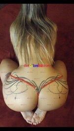 bf7a66fe9311c5820c3b86a7127ffad1.jpg