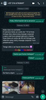 Screenshot_20230403-181021_WhatsAppBusiness.jpg
