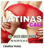 LatinasCaliVipasa.jpg