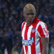 Toloteli