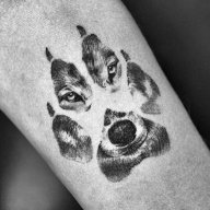 chiquileche