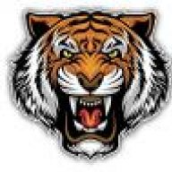 Tiger92