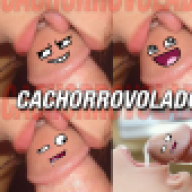 cachorroviolador