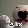 Carlos_un amigo más