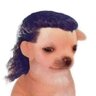 aguapanelo