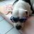 Camdo