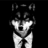mr.wolf