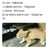 ichirou_0123