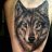 Wolf_man