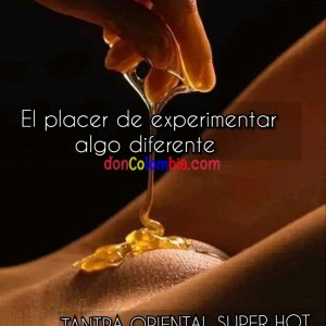 9fdf04c9-712d-4697-b5c2-78b23b5dc0c2.jpg