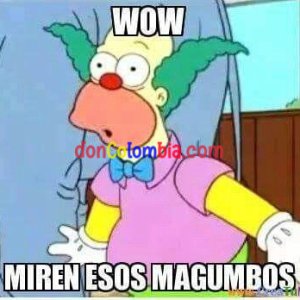 2c683d5bcf408de473ded1ace81e3a58--memes.jpg