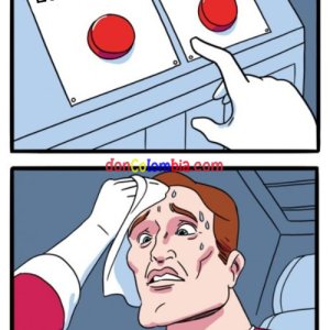 6whv8t.jpg