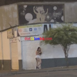IMG-7428.jpg