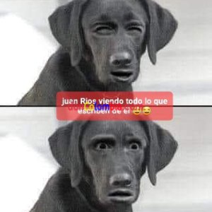 FB_IMG_1665973532817.jpg