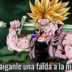 traiganle-una-falda-a-la-nina21634970879.jpg