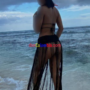 Imagen_407680.png