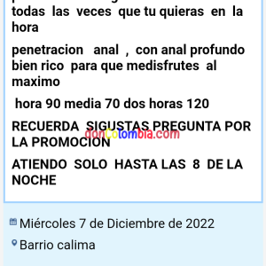 Screenshot_20221207-205628~2.png
