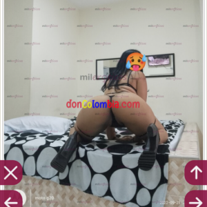 C80AEE18-0194-49DD-9F07-BD31683B9F79.png