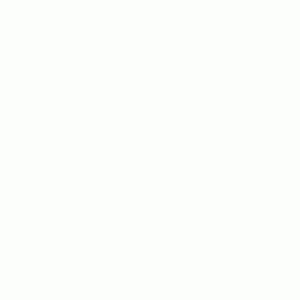 1703169478988.gif