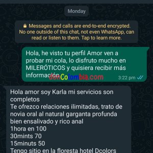Screenshot_2024-01-27-00-26-48-970_com.whatsapp-edit.jpg