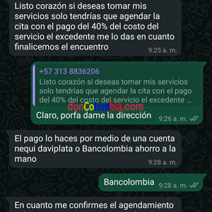 Screenshot_2024_1116_102957.png