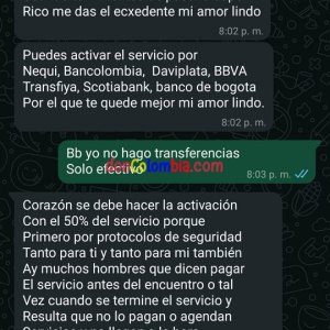 Screenshot_2024-12-17-20-19-00-454_com.whatsapp.jpg