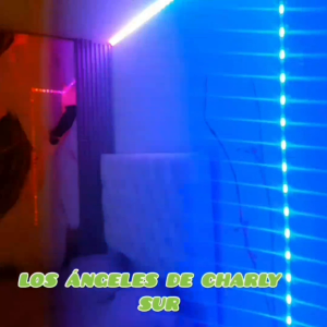 Video.Guru_20250705_020520528.mp4