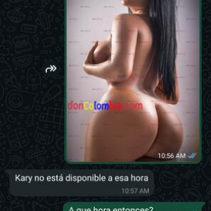 Screenshot_20250706_145125_WhatsApp.jpg