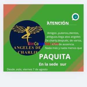 Screenshot_20250807-223349_Canva.jpg