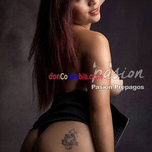baby-3658823-escort-bogota-fa7651695515170e0c5e-333x500.jpg