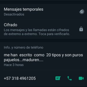 Screenshot_2022-03-14-13-04-52-177_com.whatsapp.jpg