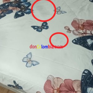 1757645614886.jpg