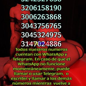 Picsart_25-05-10_15-03-56-711.jpg