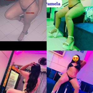 Pamela Caras Lindas 3155875527   3017600643