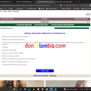 Captura de pantalla (27).png