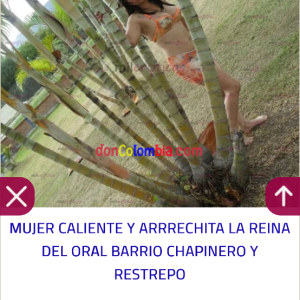 IMG_3982.png