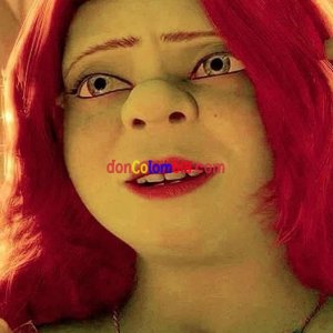 lqla908285se1~2.jpeg