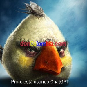 1786672302205.jpeg
