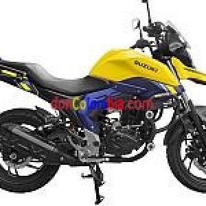 suzuki-v-strom-expomoto-wtc-1-210-150.jpg