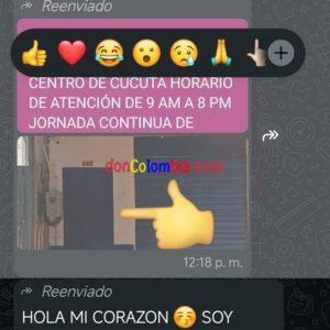 Screenshot_2026-09-18-12-19-55-040_com.whatsapp.w4b.jpg