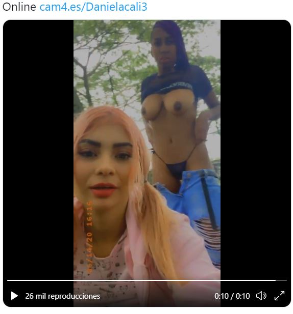 005.JPG